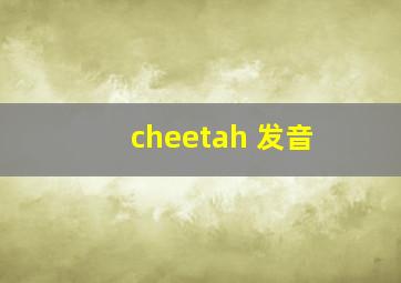 cheetah 发音